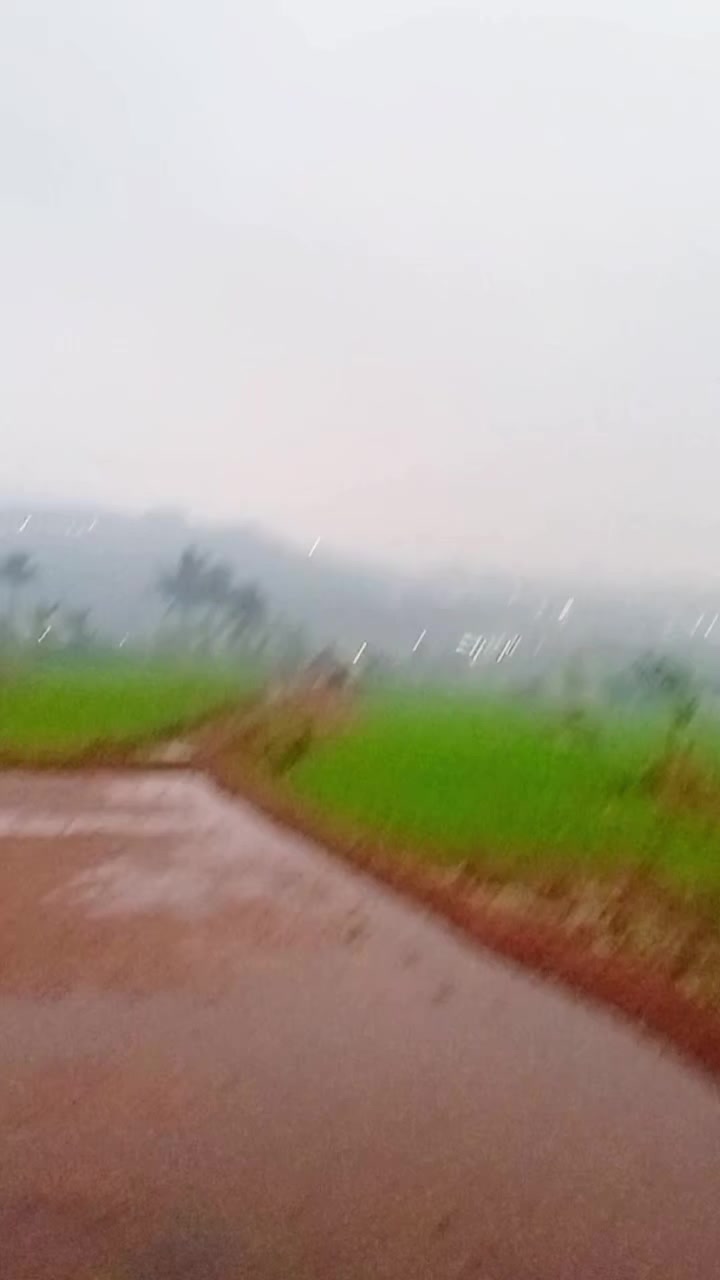 @mmh revan