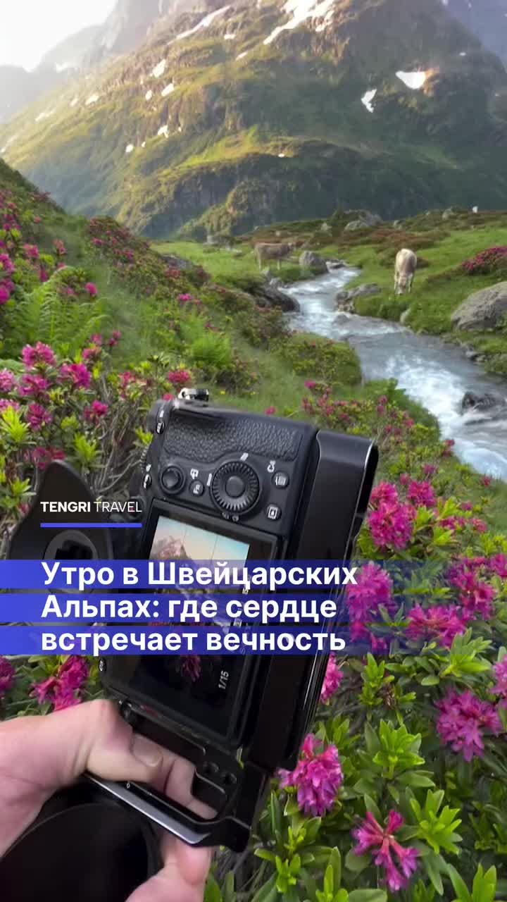 @Tengri Travel 🌍