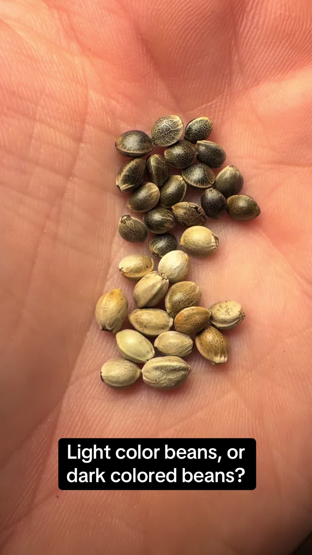 @SEEDTIVA