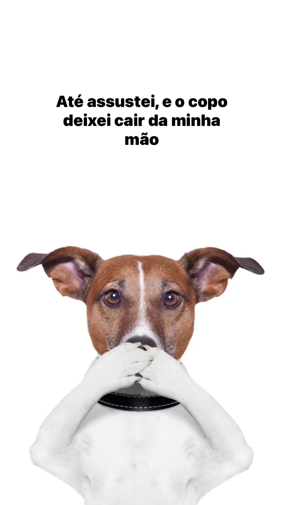 @user1606