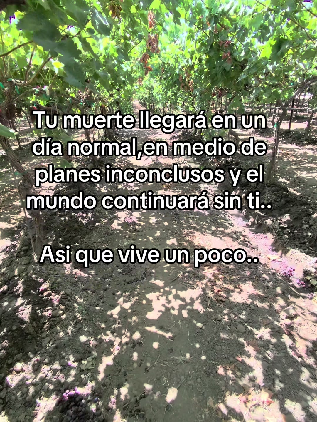@Gustavo