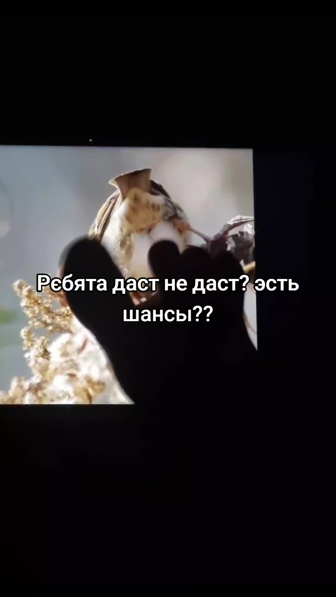 @Tagoyasha