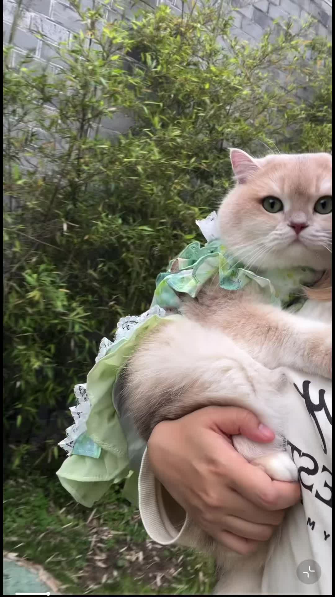 @My Daily Dose of Aww