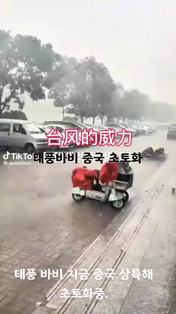 @글로벌TV.global tv.