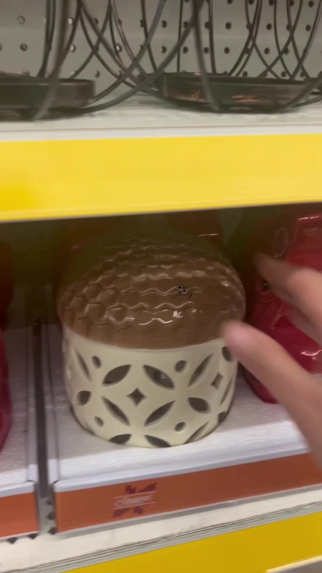 @𝓐𝓵𝓲𝓬𝓮 𝓖'👩🍳🍪🦋☘️