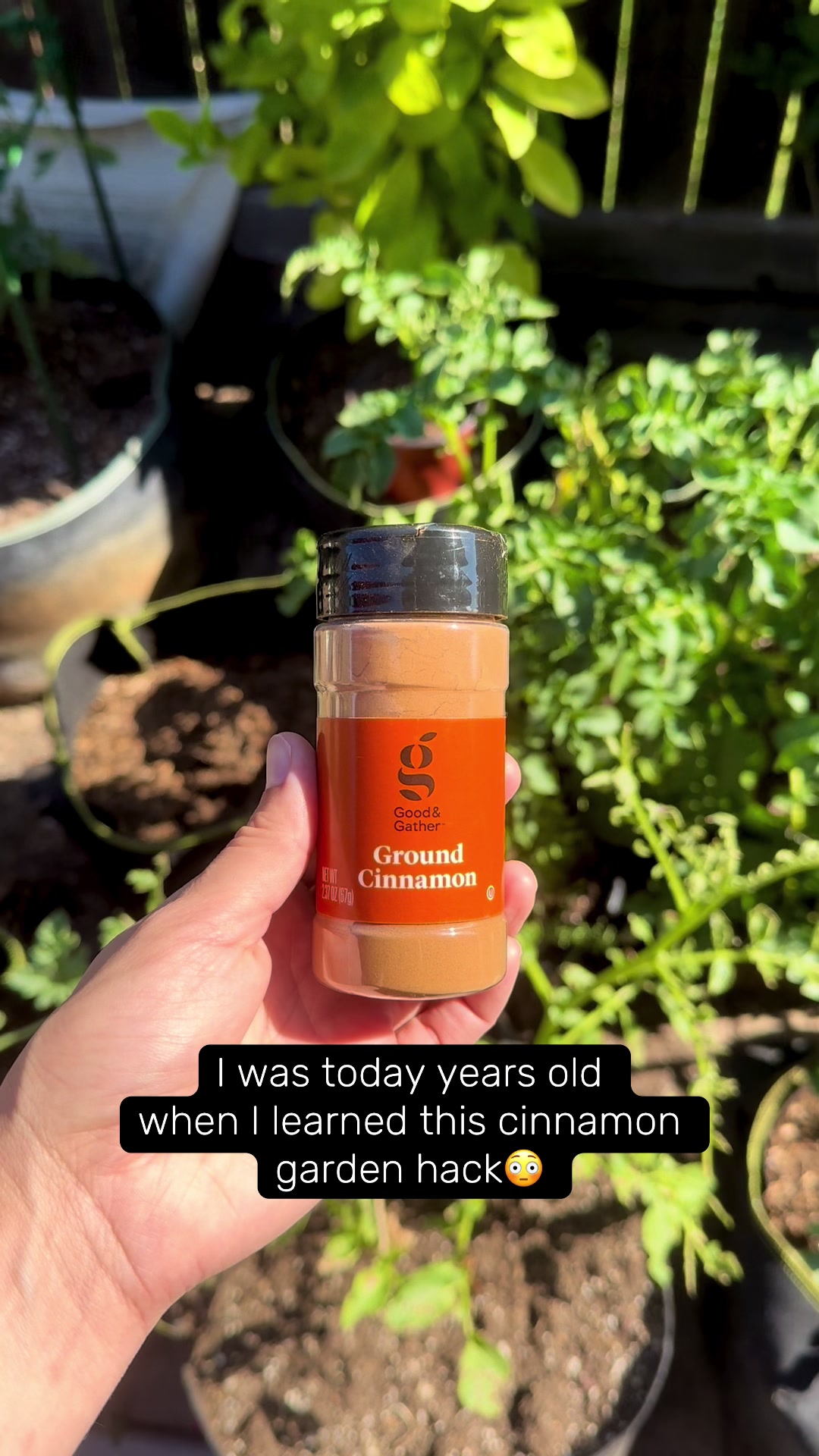 @plantingwithe