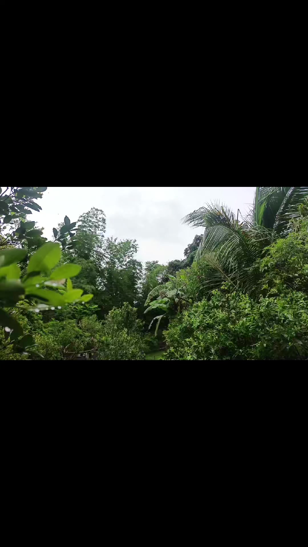 @EDUKADONG SABUNGERO