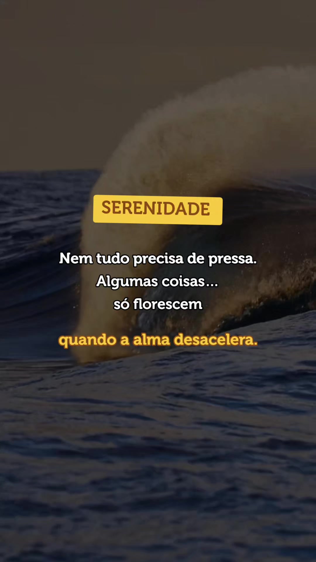 @vida em frases