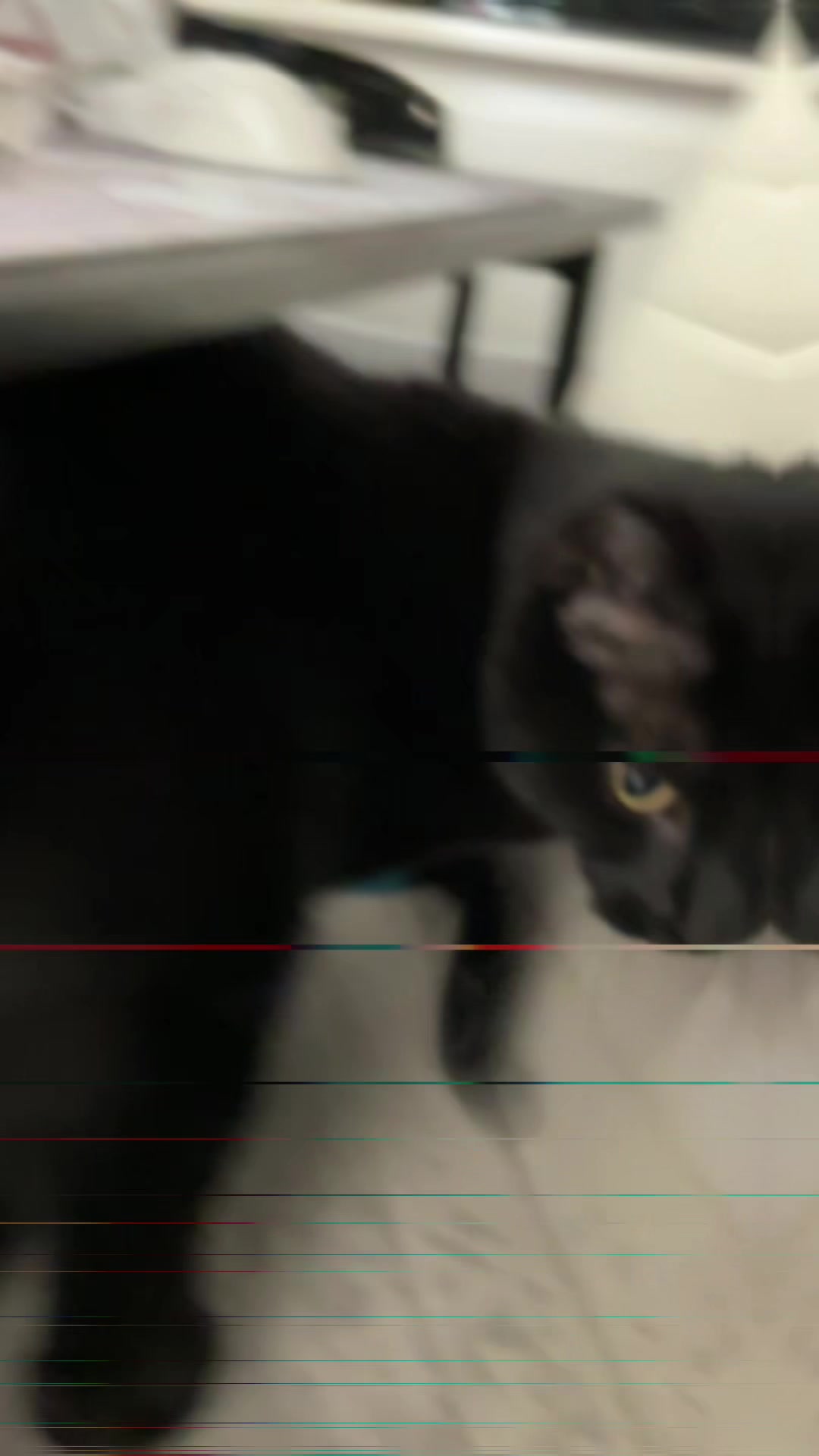 @𝓙𝓪𝓬𝓬𝓬𝓬