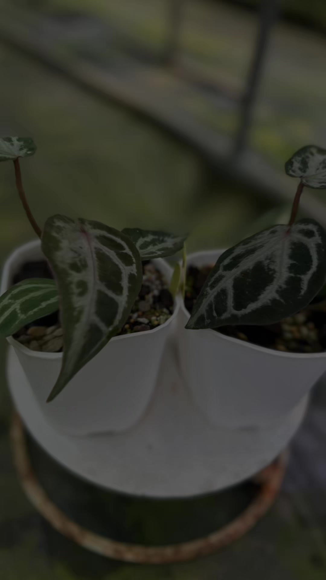 @KeepcầmKây🥦