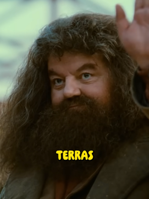 @Tori