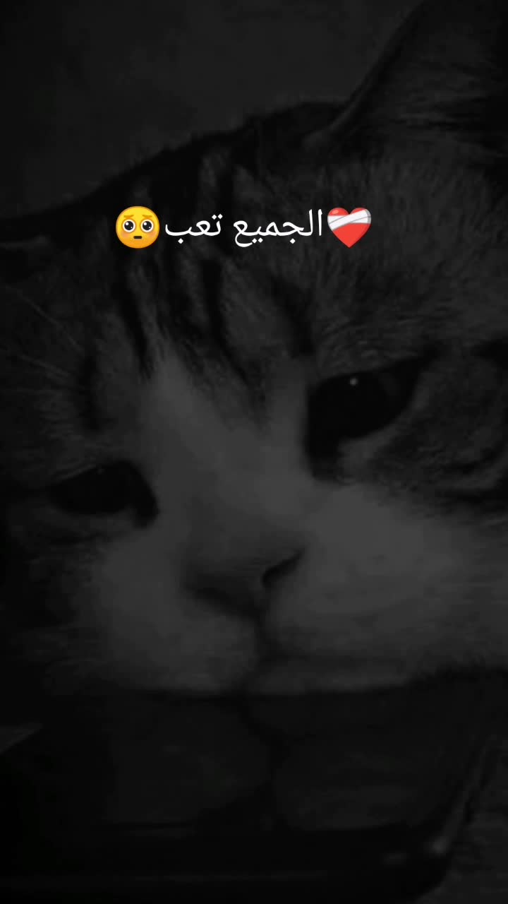 @luux Aicha ❤️