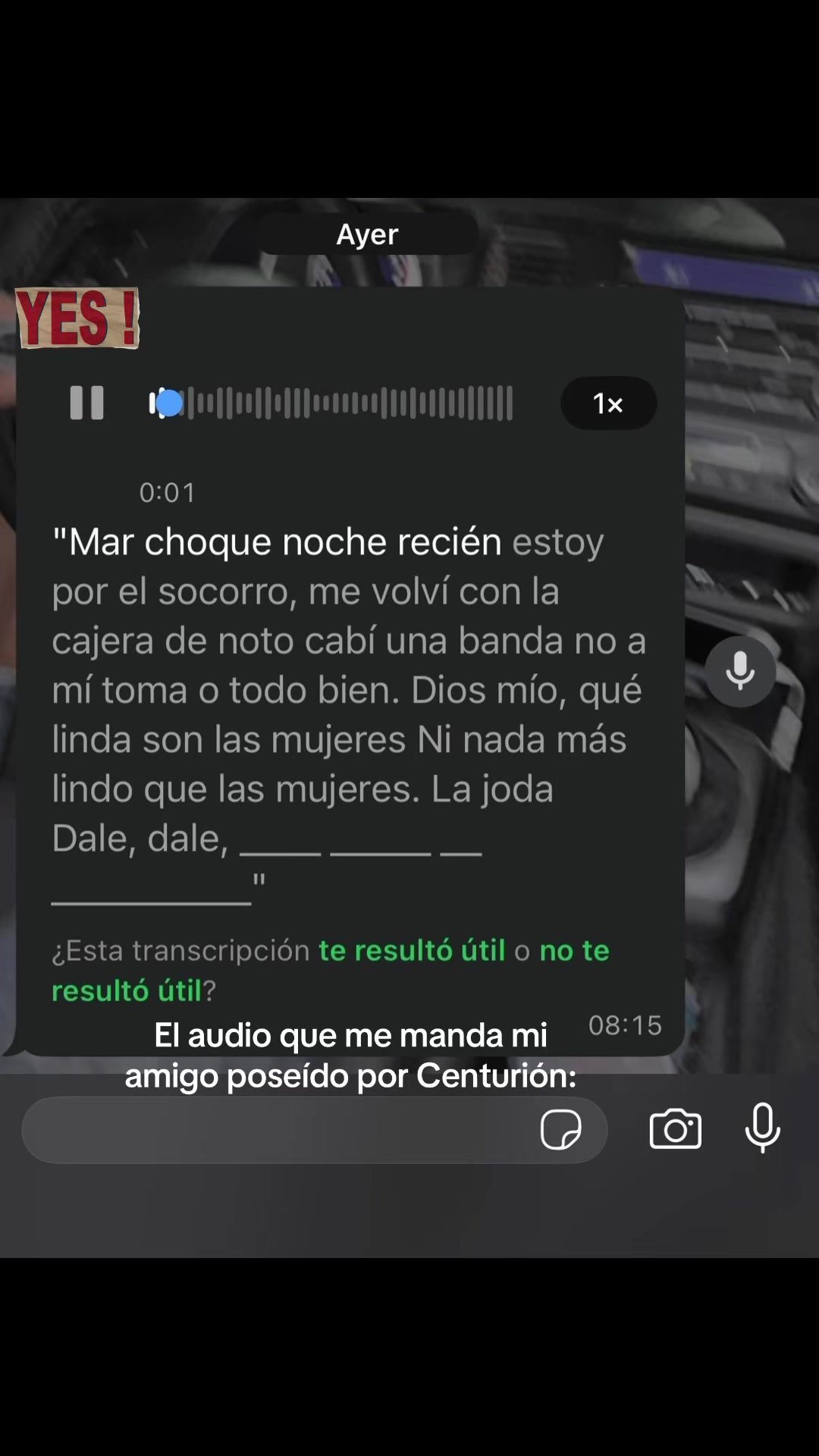 @sebaioele
