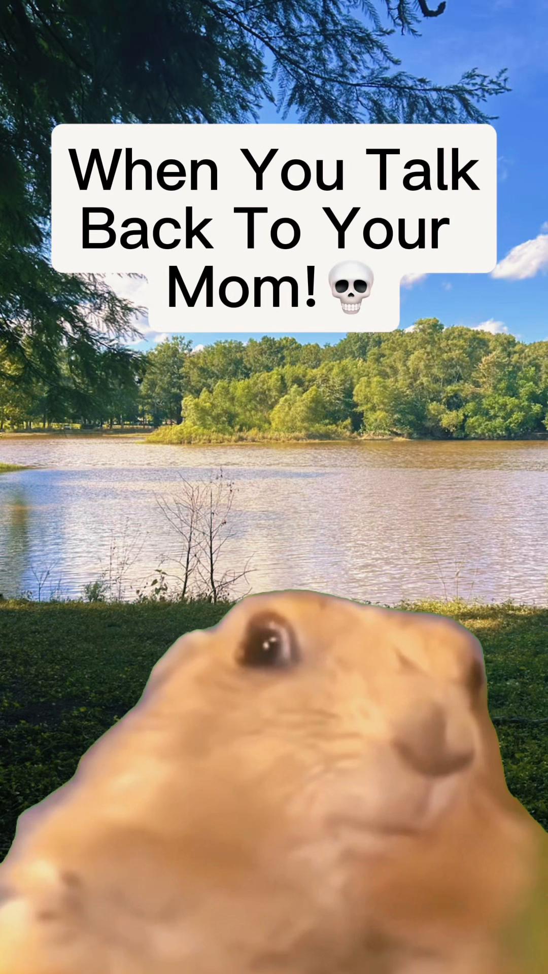 @Kam