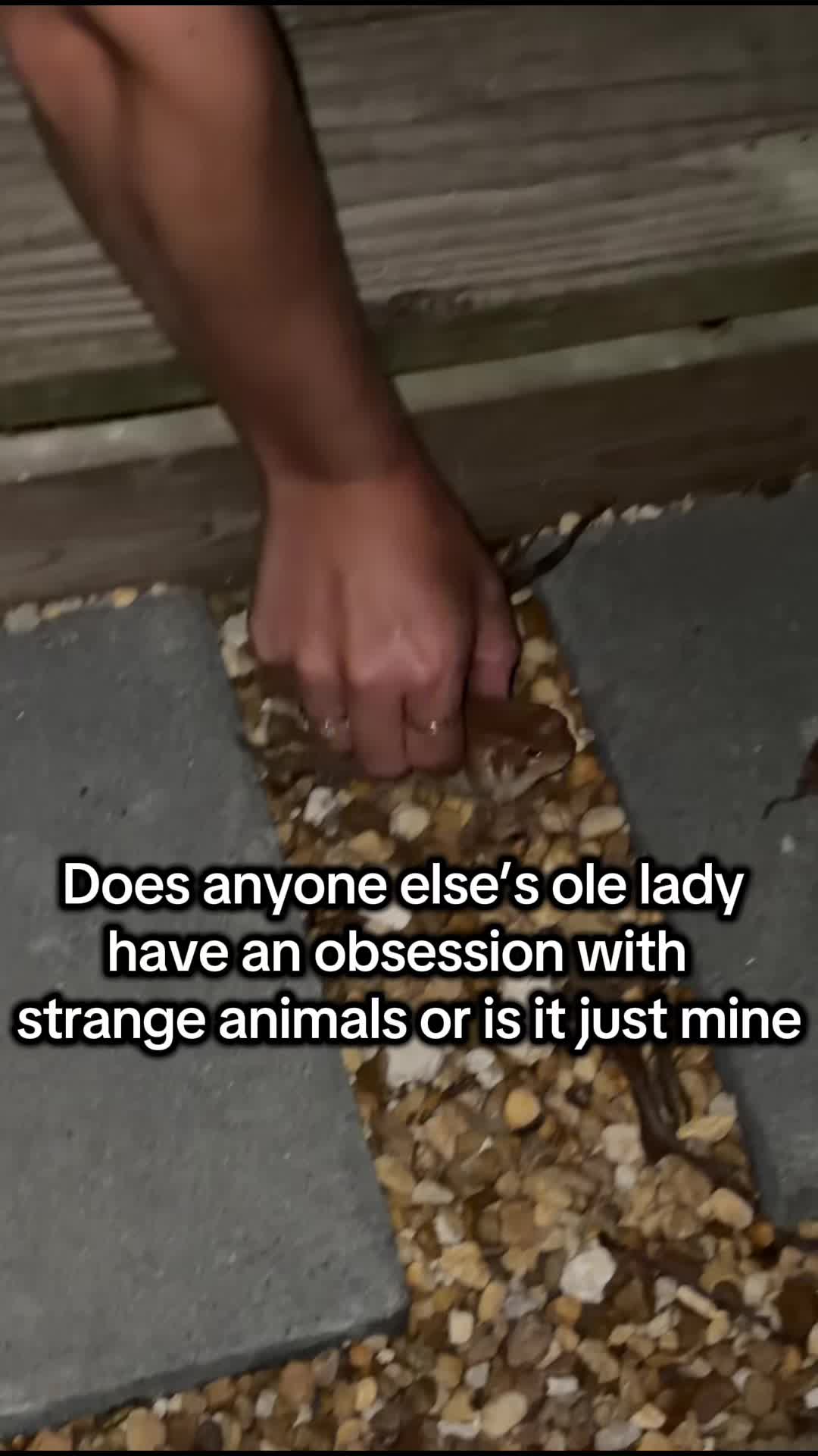 @Dylan