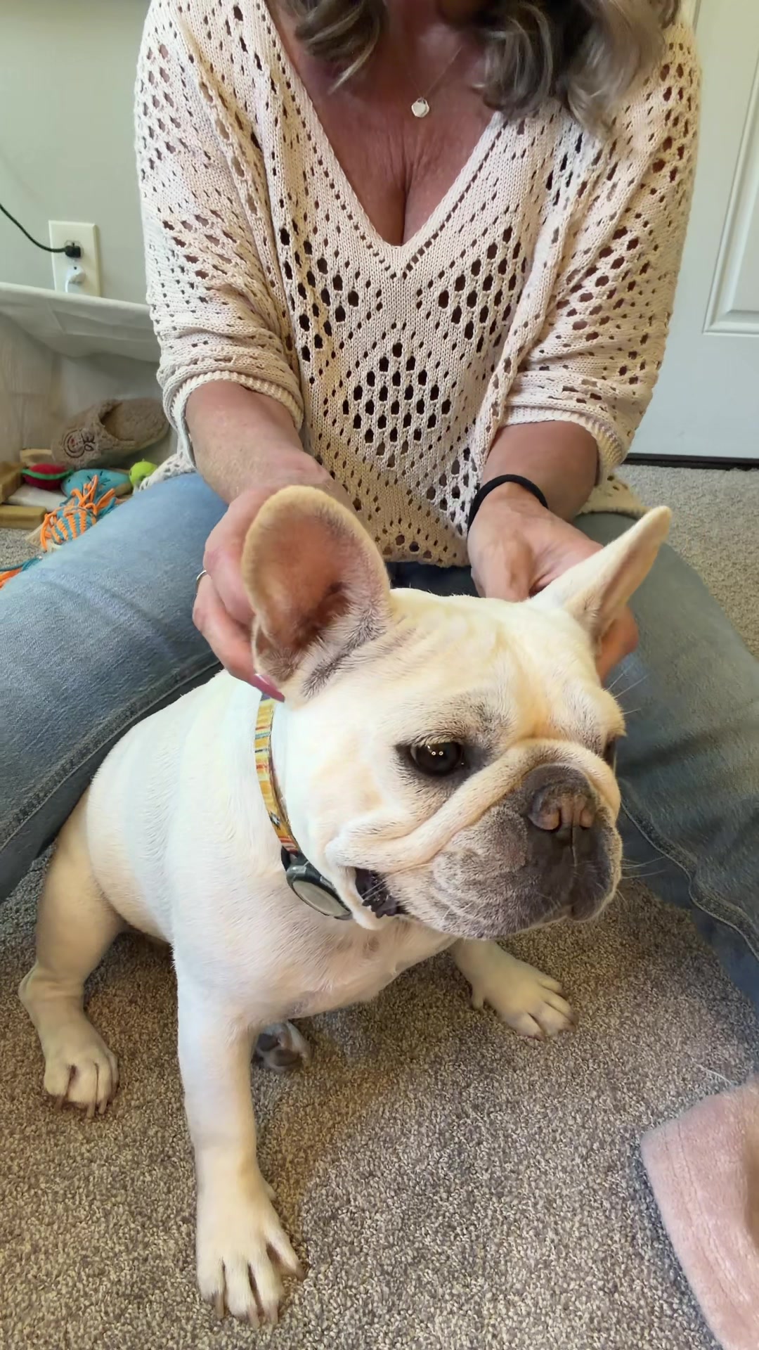 @Bagel the OG Frenchie