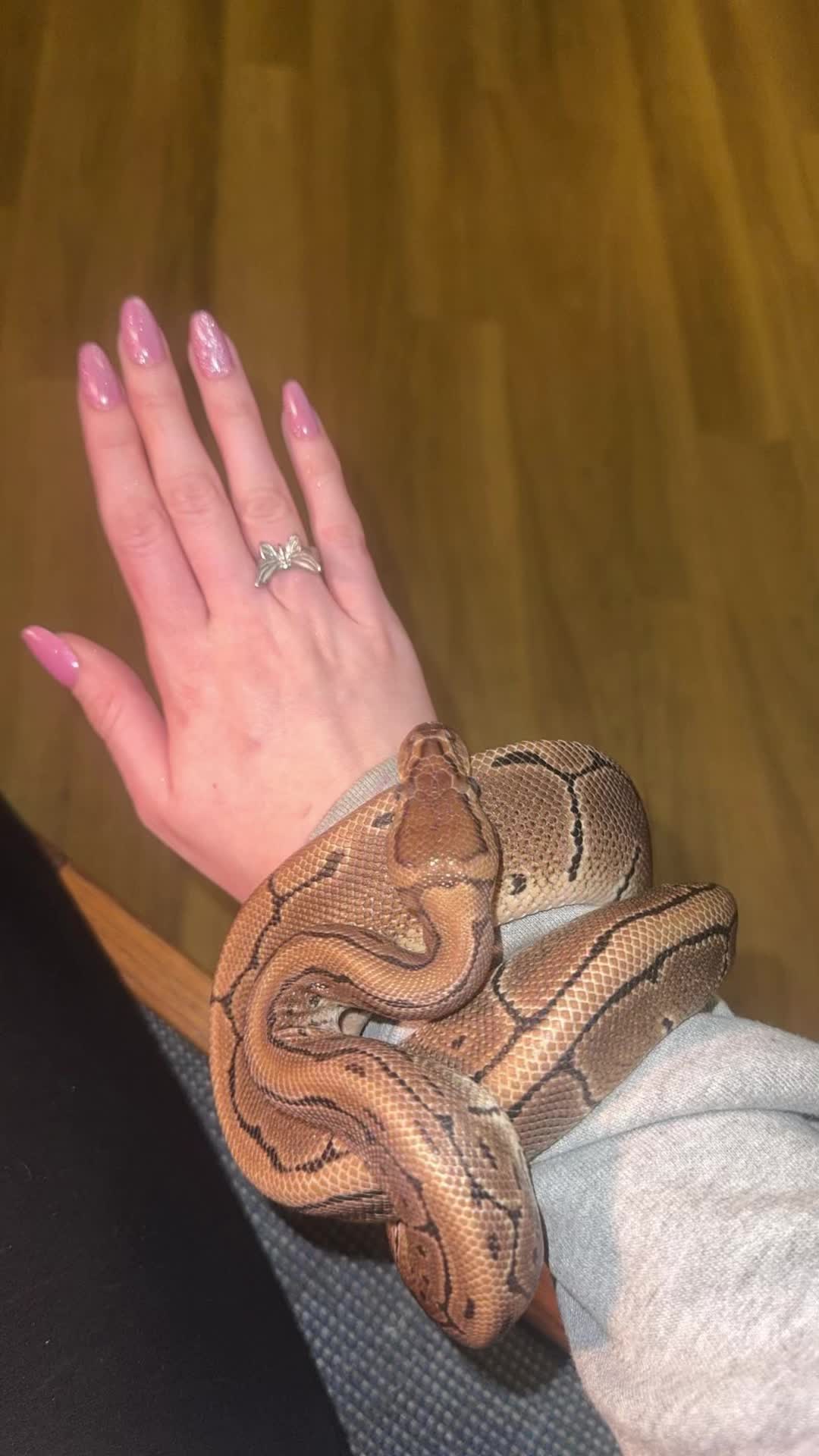 @Nikki🖤🐆🪩🍸