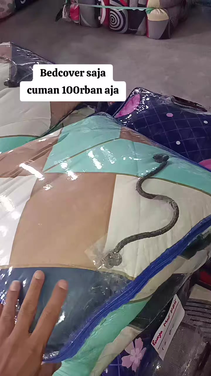 @Sahurry628