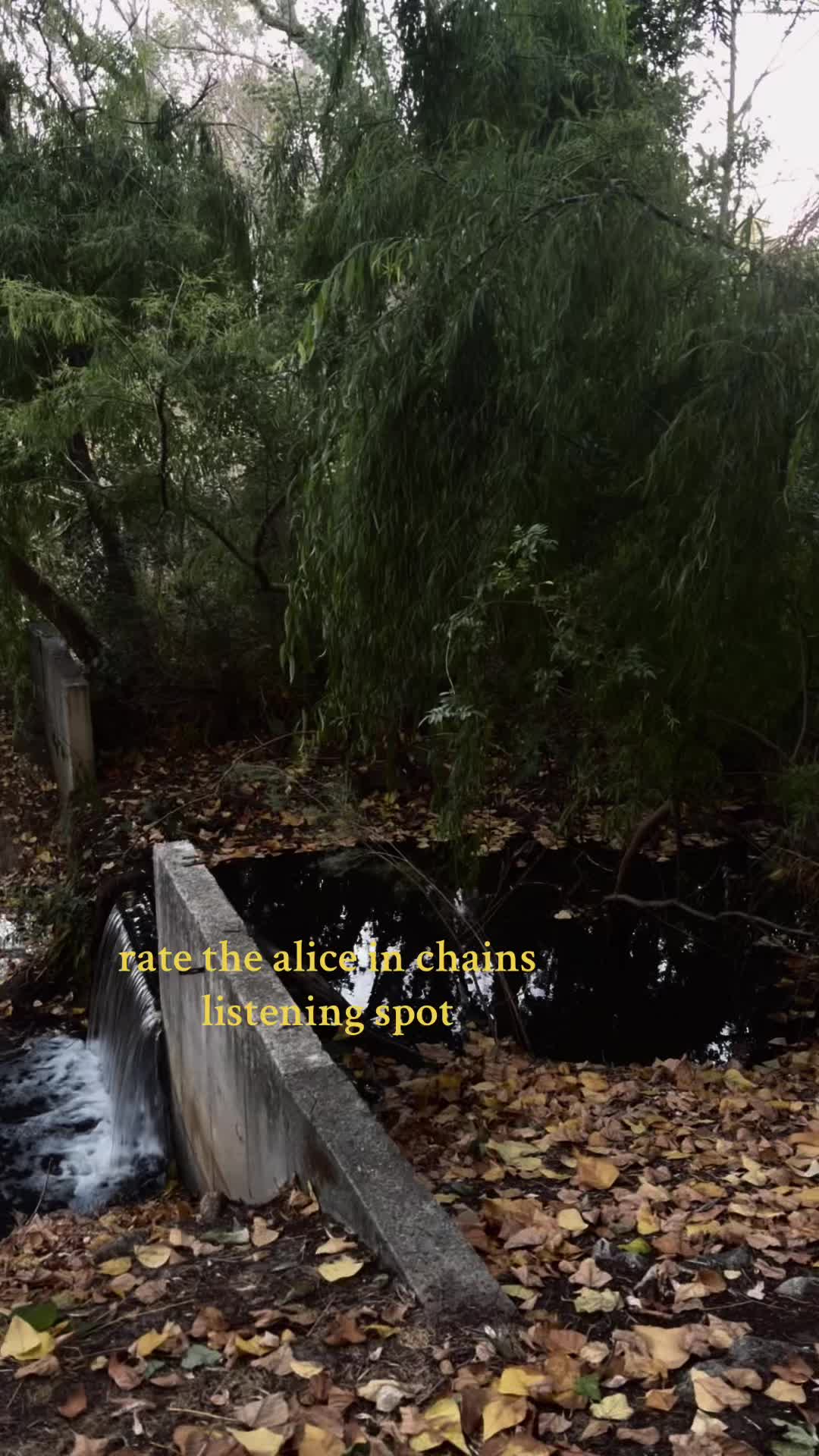@𝓉𝒶𝒾𝓎𝒶🪽