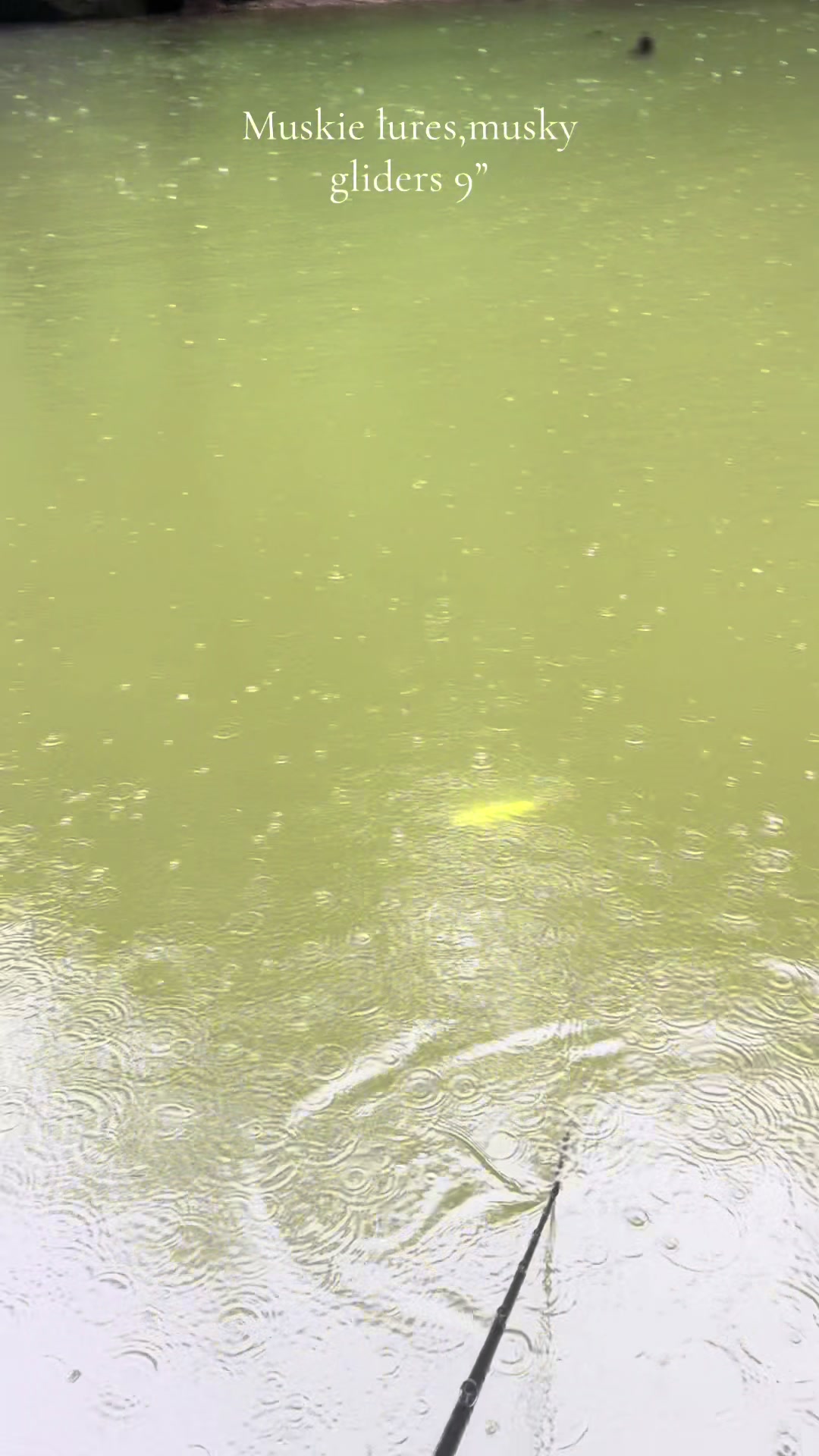@JW Lures