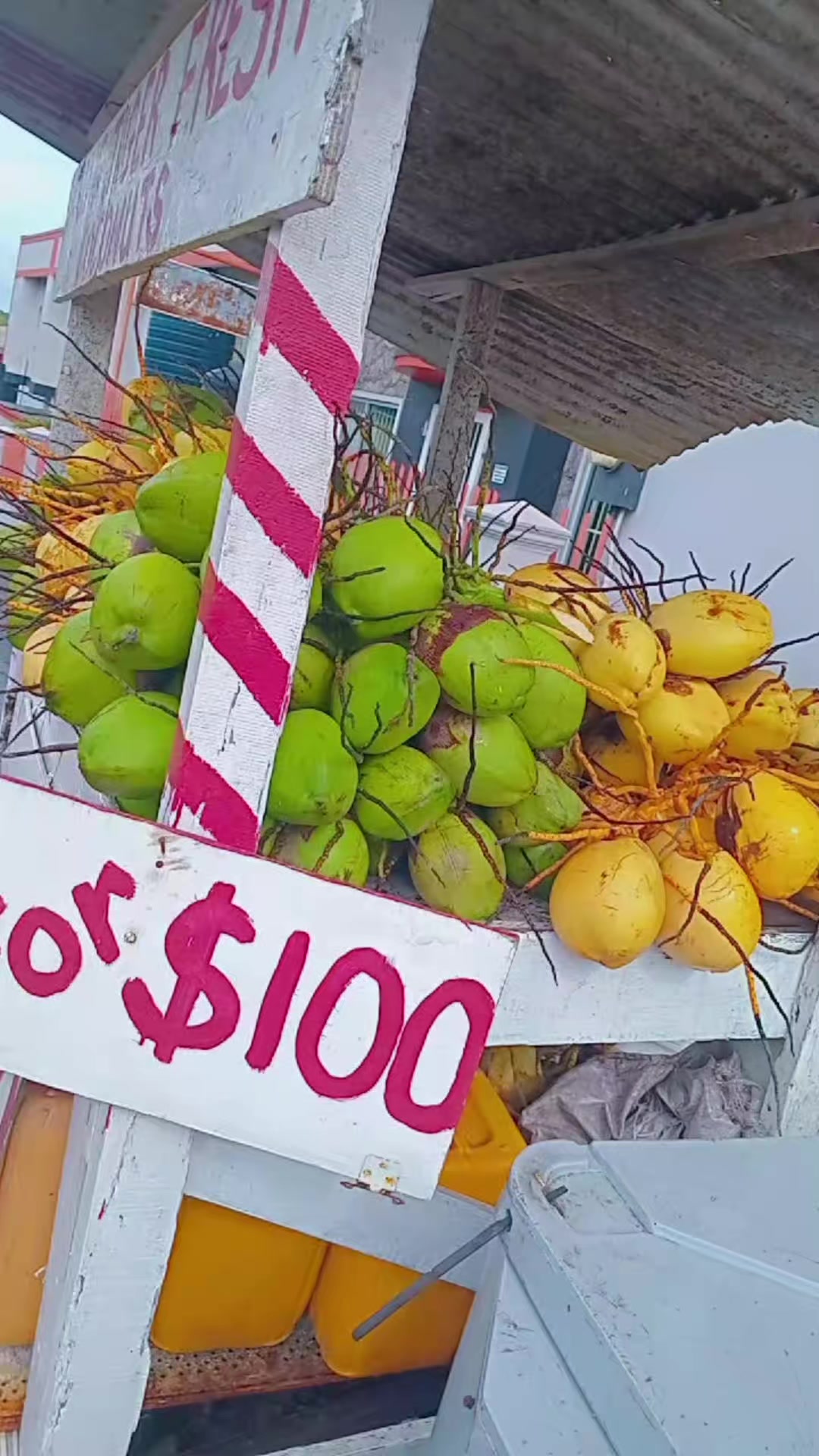 @Young Tiger Cold Coconuts🥥🌴