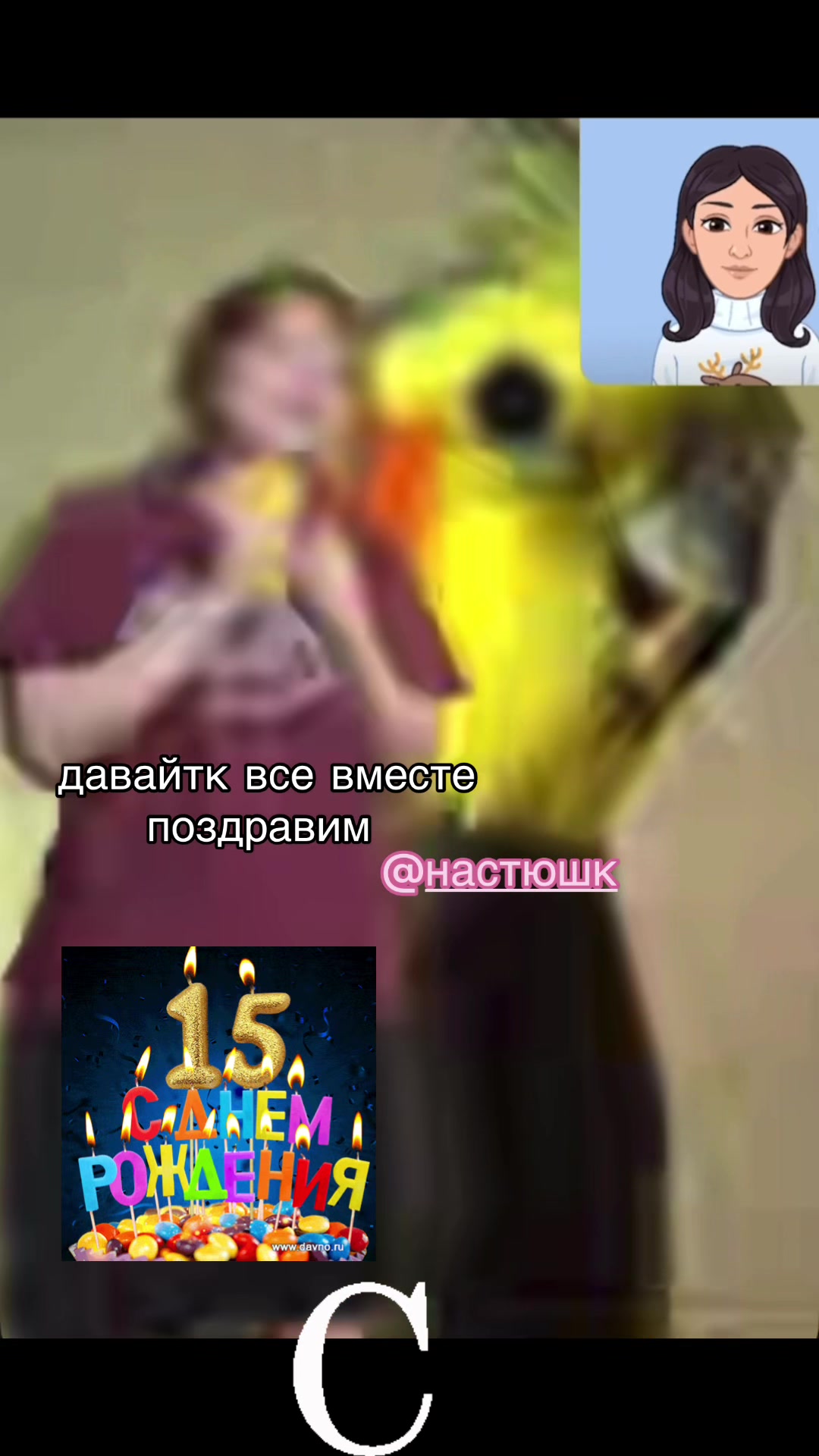 @tg: shchenokk