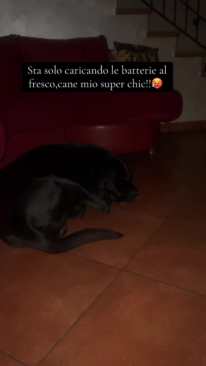 @dioreeemeliii