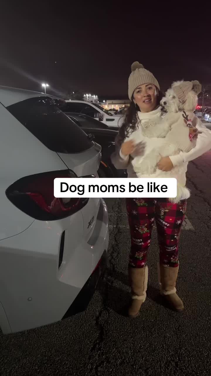 @massimo.the.maltipoo