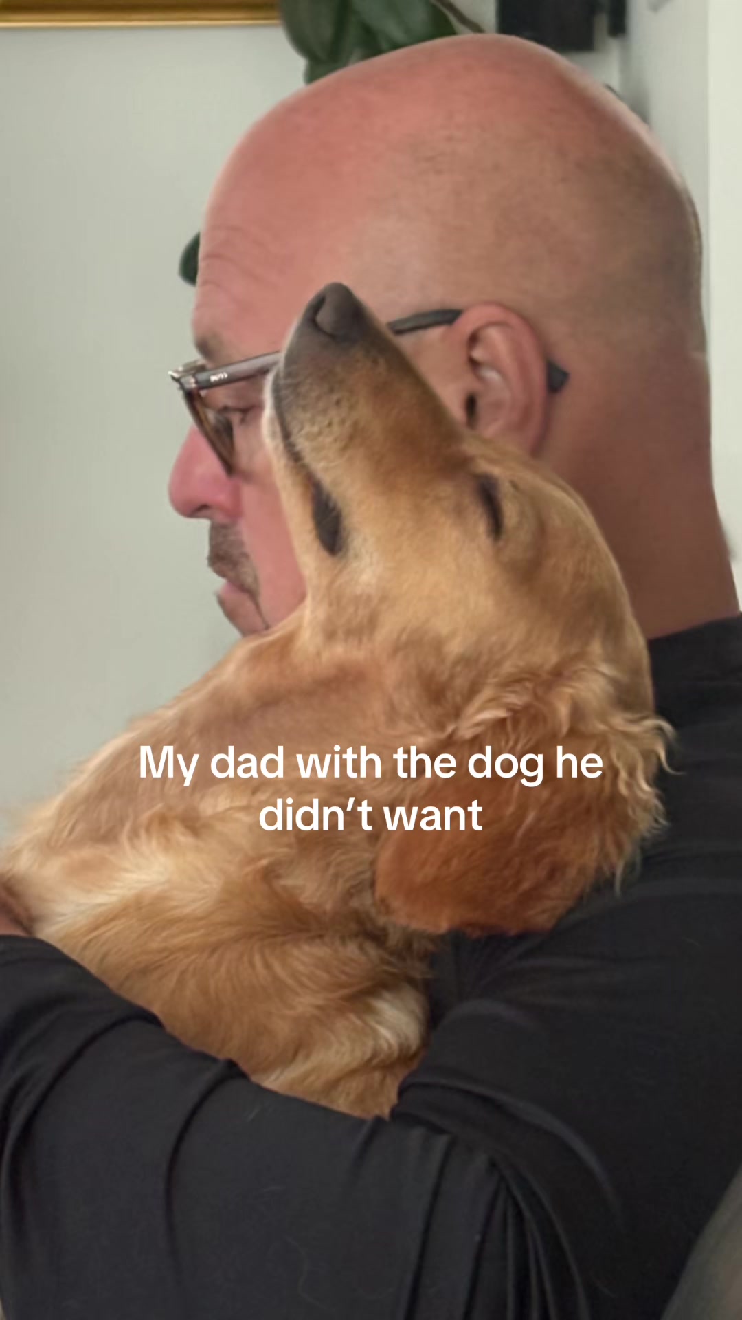 @Alex Lussier