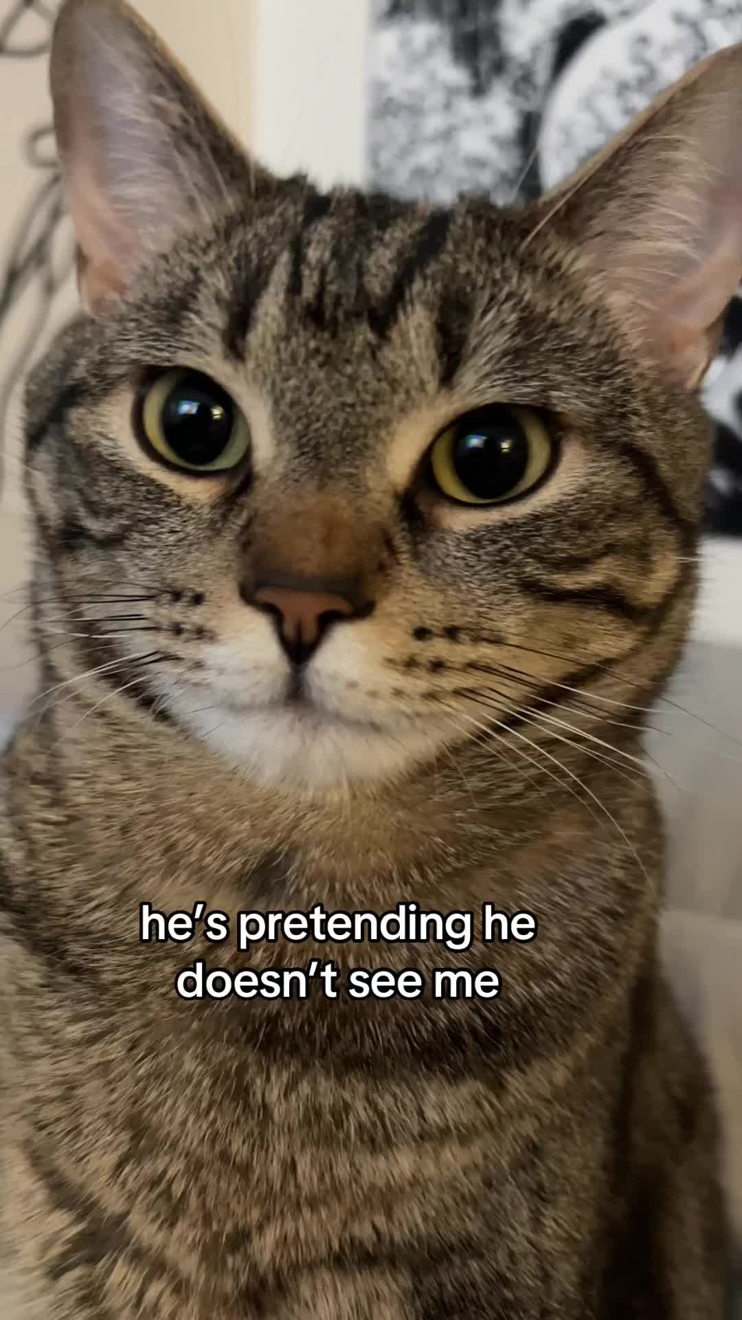 @Blawg