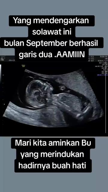@inspirasi.program.hamil