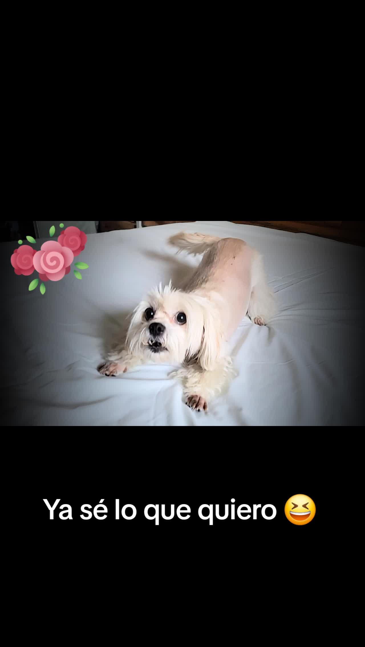 @cecy martinez