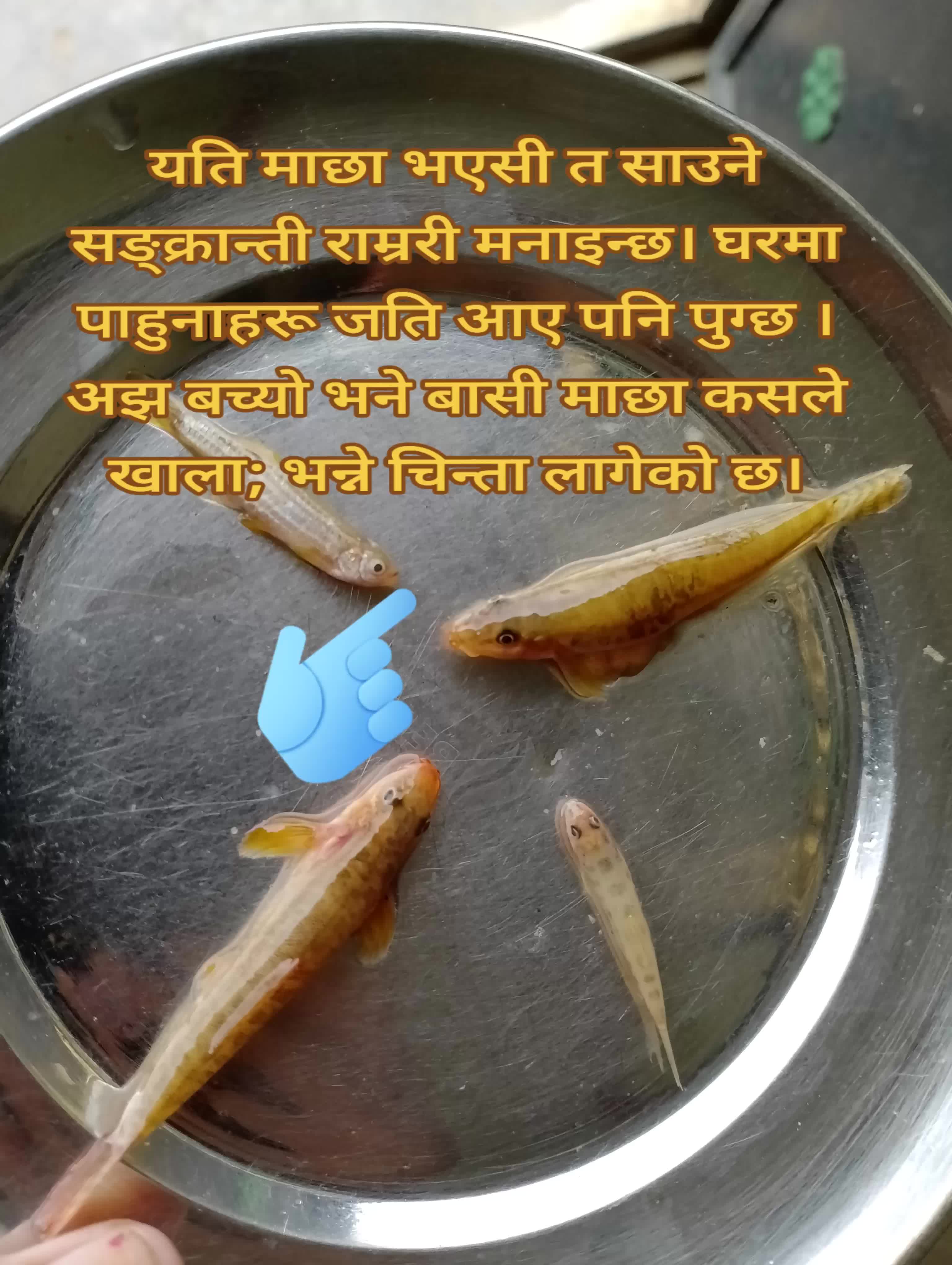 @Ambika16