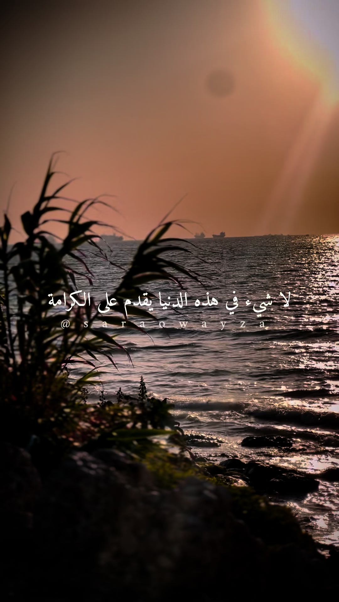 @༊෴✿سہارة✿〄