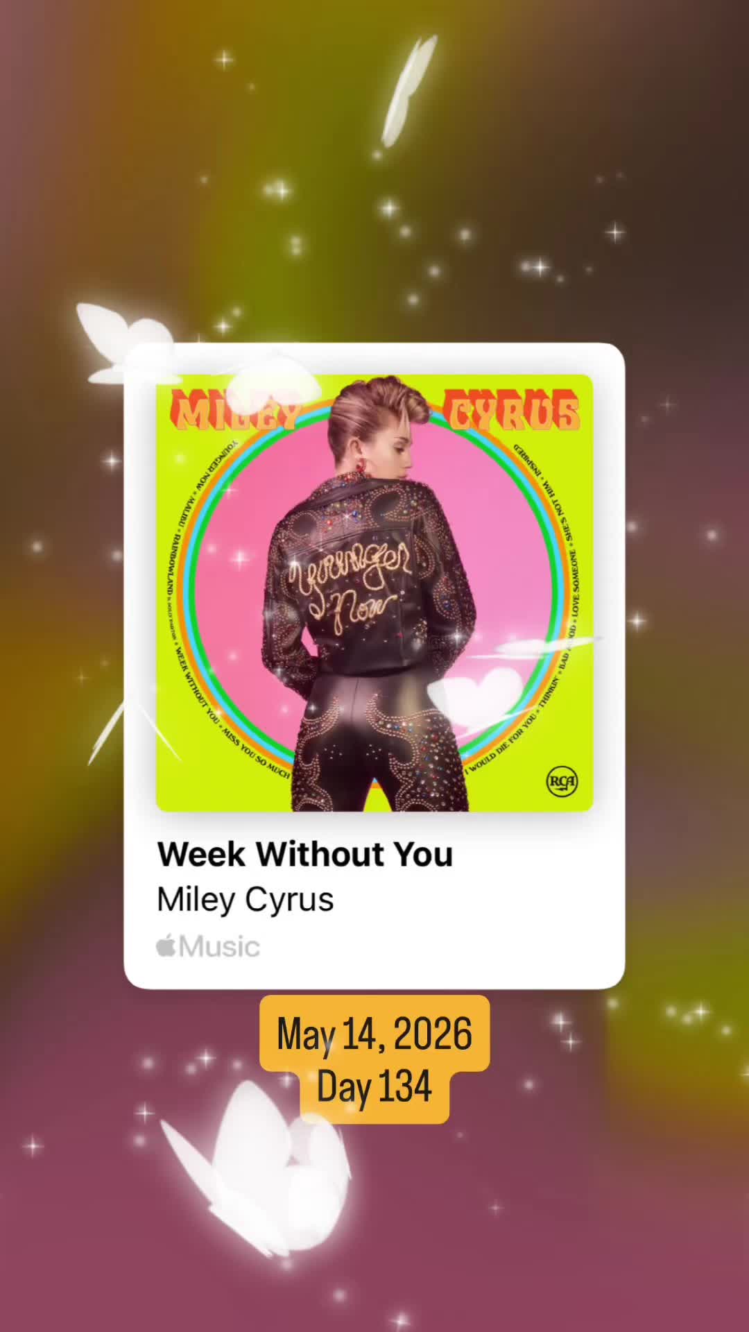 @the ultimate playlist 🎵