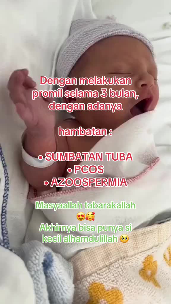 @promilholistik