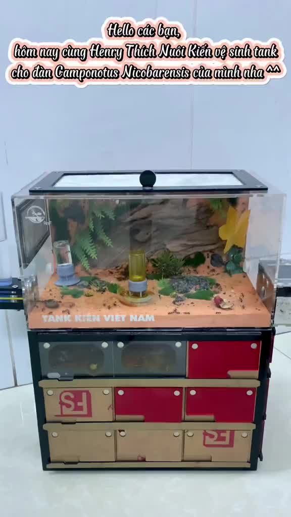 @Henry Thích Nuôi Kiến 🐜