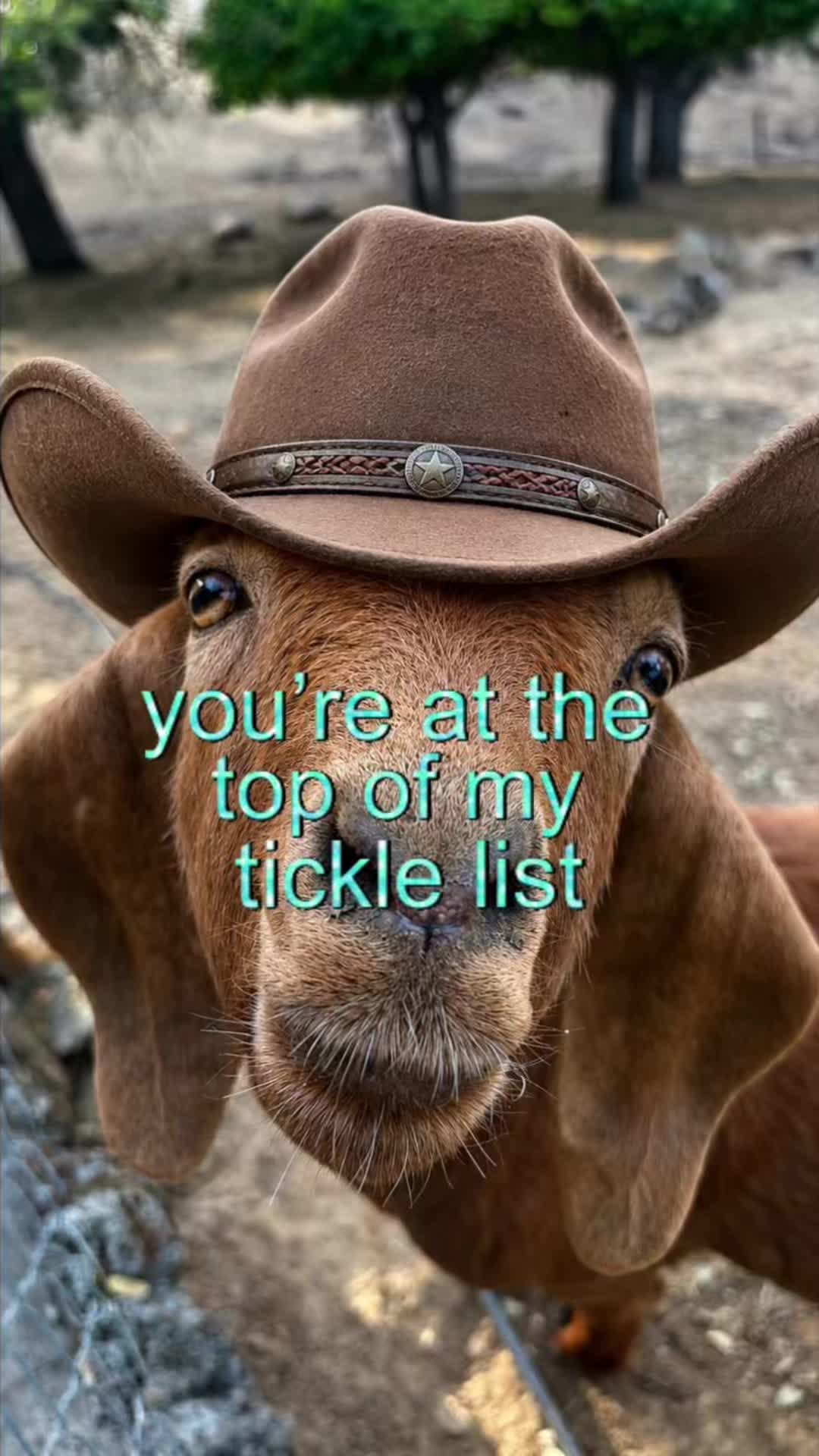 @howdylovecore