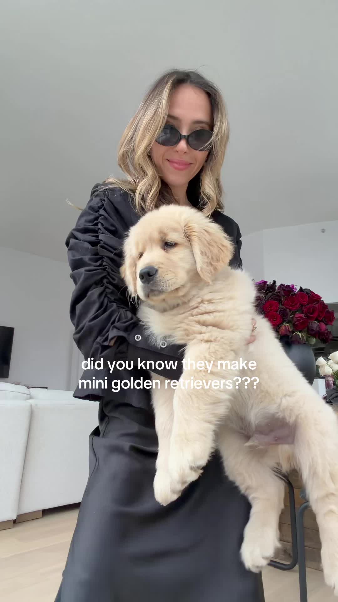 @Liv Schreiber