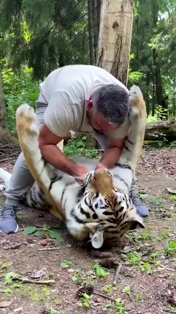@Александр Олегович ✌️😎