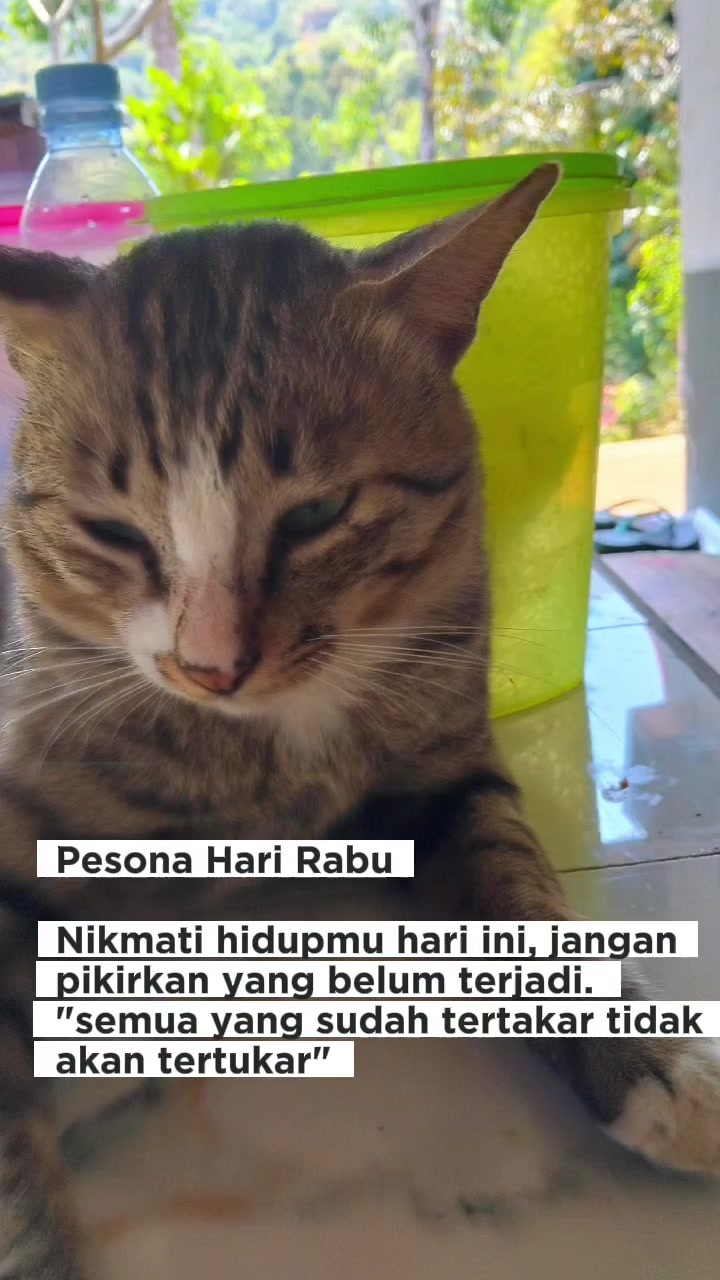 @KT KARIASIH