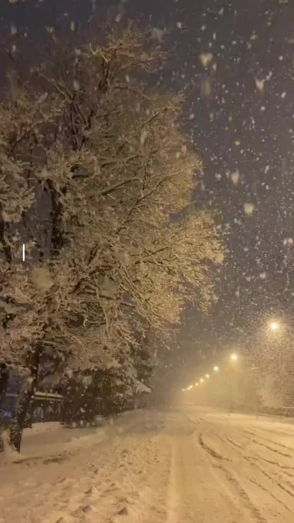 @❄️winter⛷️