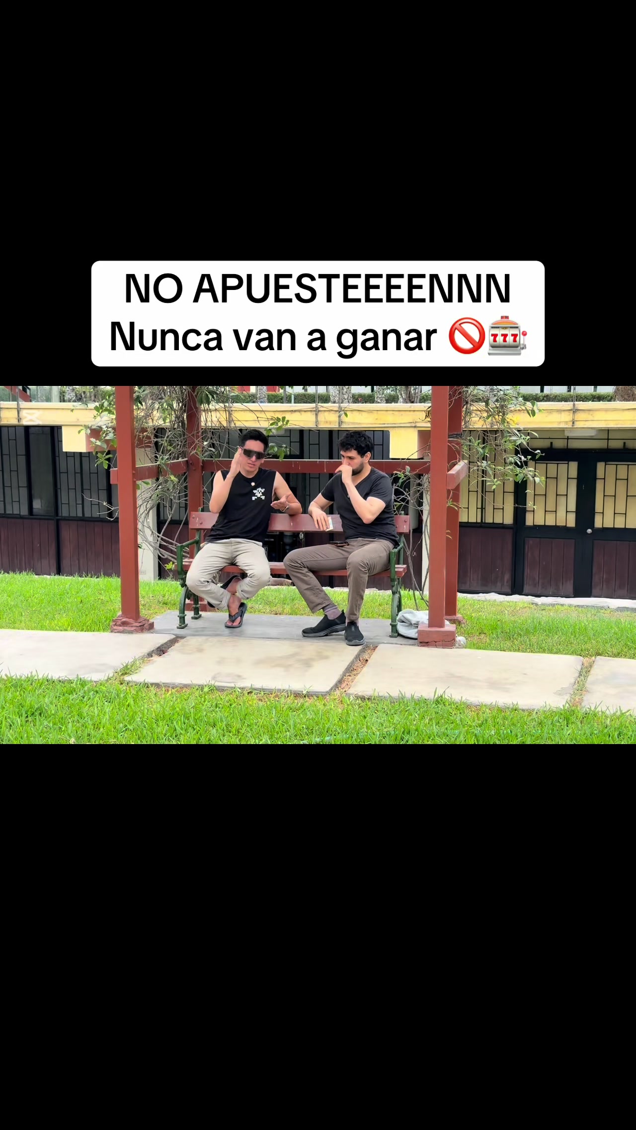 @Robin Amado