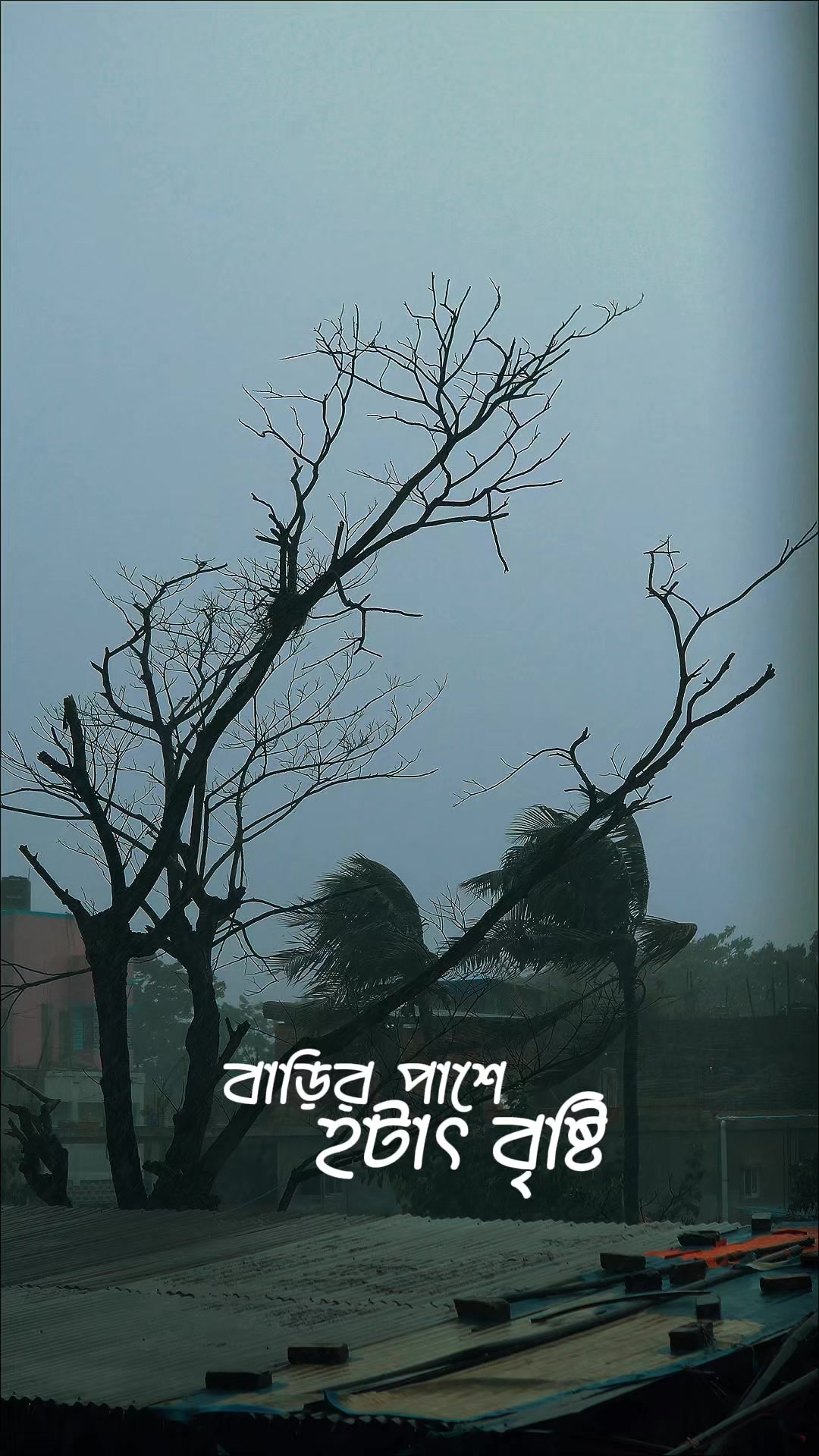 @Ahmed_samit | Chittagong