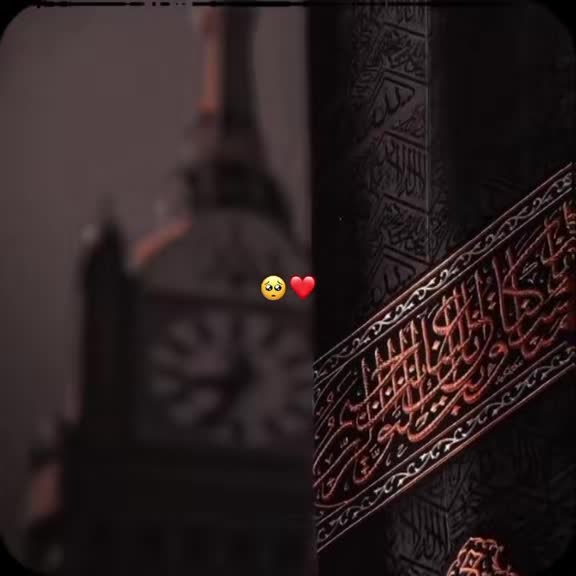 @Miral Trader 📊