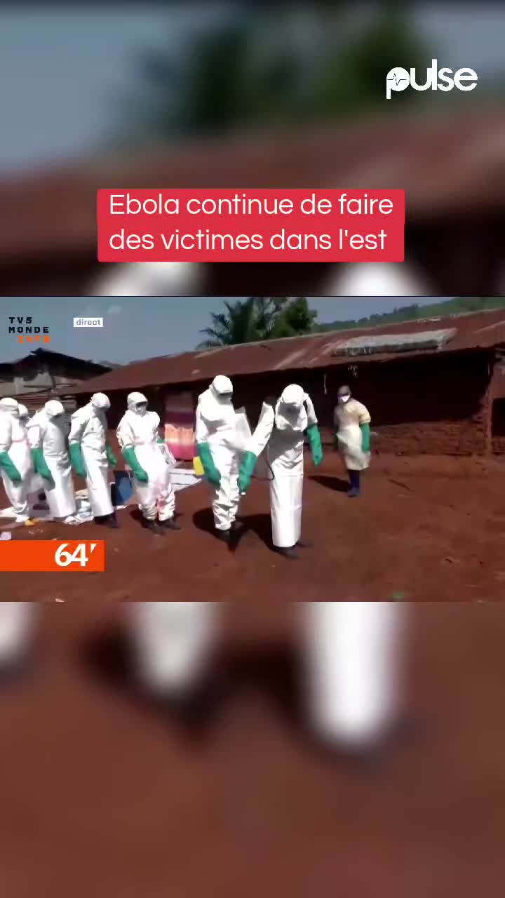 @Pulse Congo