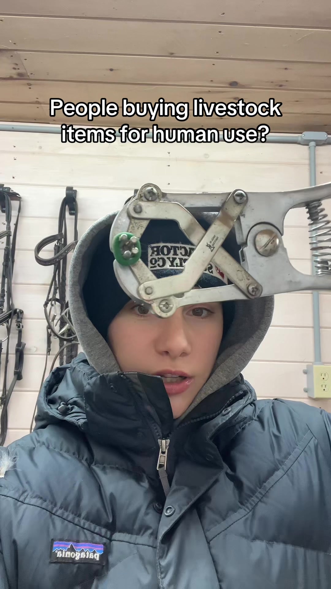 @Pony Squisher