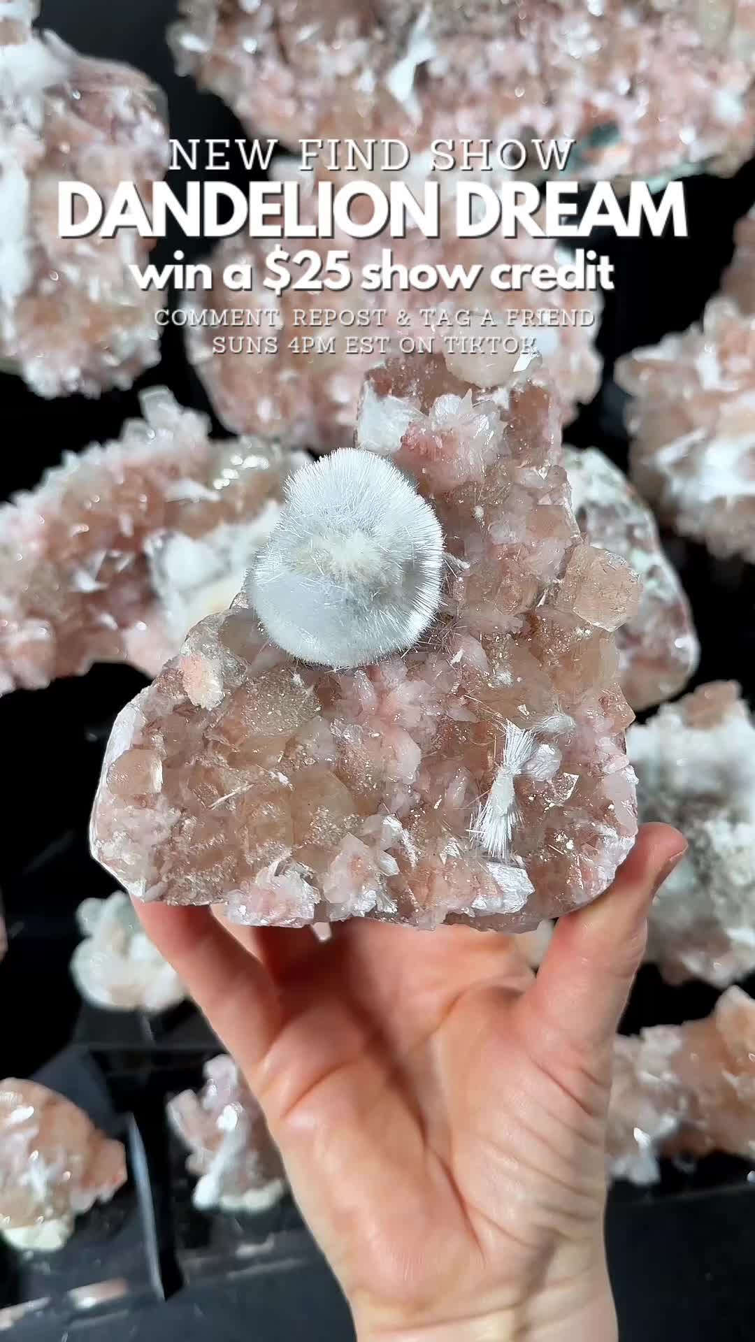 @Crystal Live Emporium✨Natalie