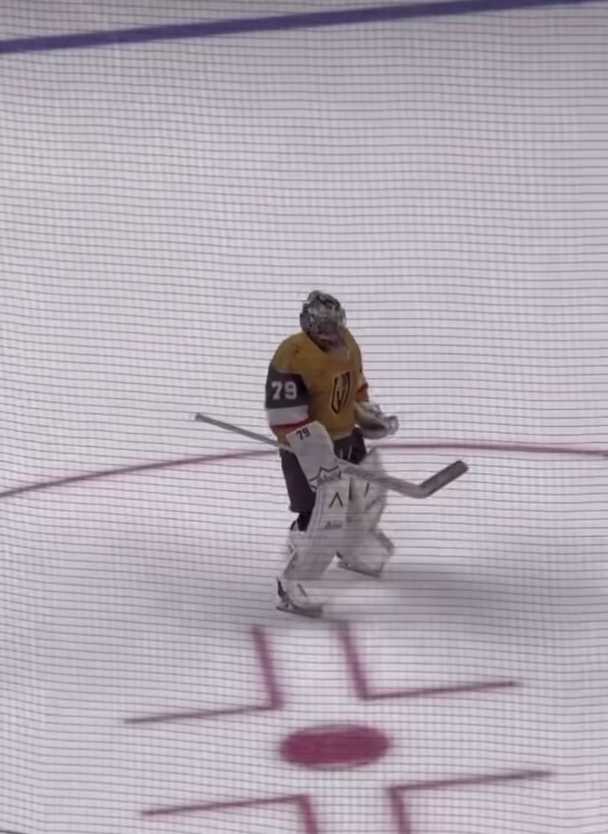 @vgkgoaliegirl🏒