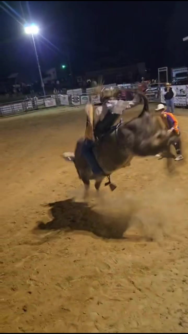 @💸🎲Turner 🎲💸